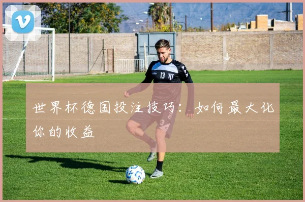 世界杯德国投注技巧：如何最大化你的收益