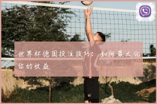 世界杯德国投注技巧：如何最大化你的收益