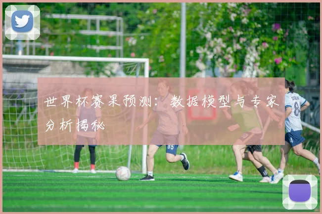 世界杯赛果预测：数据模型与专家分析揭秘